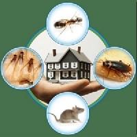 Quality Affordable Pest Control image 3